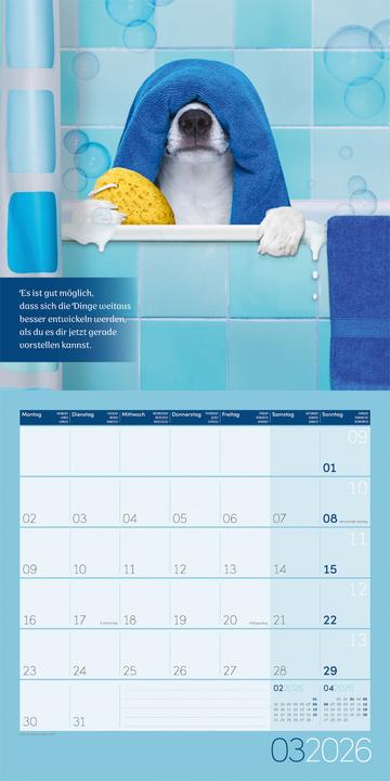 Actual product image Alles wird gut! Kalender 2026 - 30x30 (30 x 30 cm, Hardcover, French, English)