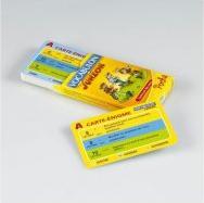 Produktbild Megableu Vocabulon Junior Pocket (Französisch)