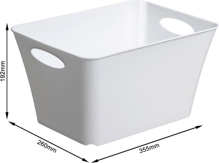 Image du produit Rotho Livingbox (26 x 19.2 x 36.5 cm, 11 l)