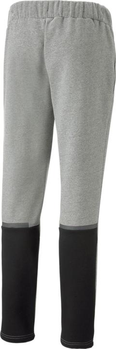 Actual product image Puma teamCUP Casuals Pants (L)