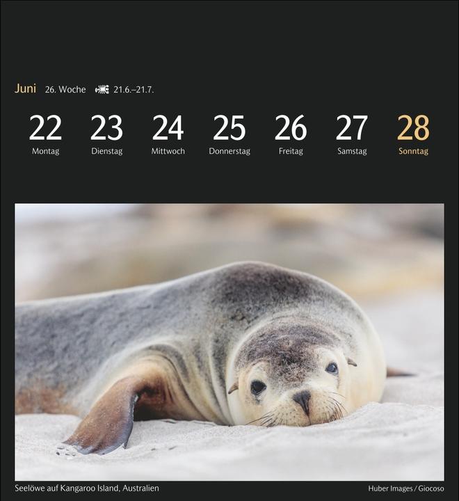 Immagine prodotto Harenberg Die Welt in Farben Postkartenkalender 2026 - Kalender mit 53 Postkarten (Copertina rigida, Tedesco)