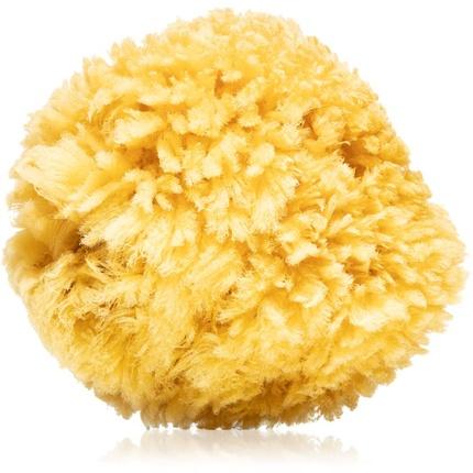 Actual product image Caribbean Sea Natural Sponge 14-16 cm