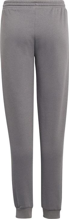 Actual product image adidas Entrada 22 sweatpants kids (128)