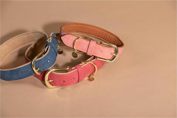 Produktbild Kentucky Dogwear Hunde Halsband Soft Vegan Leather (XS, Hund, Allgemein)