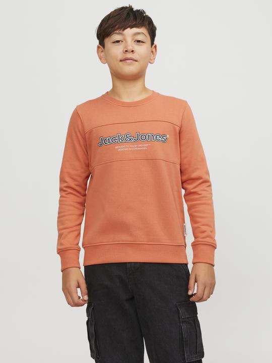 Actual product image Jack & Jones Boys Crew Neck Sweatshirt (176)