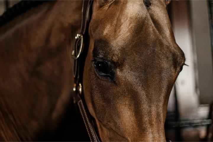 Immagine prodotto Kentucky Horsewear Copricapo per cavezza anatomica in cuoio