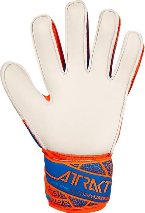 Actual product image Reusch Football Attrakt Solid (4)