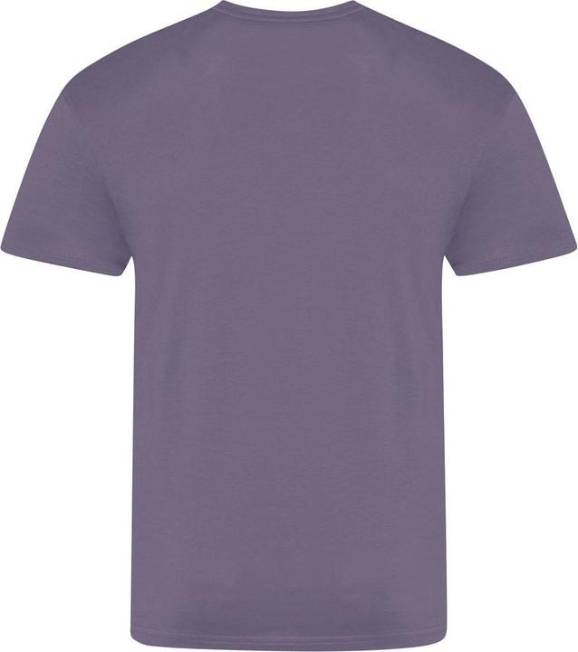 Actual product image Awdis The 100 TShirt (3XL)