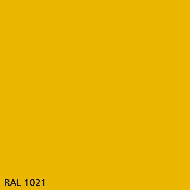 Actual product image Knuchel Synthetic resin enamel Brilliant (Rape yellow, 0.38 l)