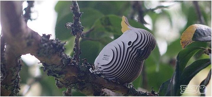 Immagine prodotto Eugy Cacatua