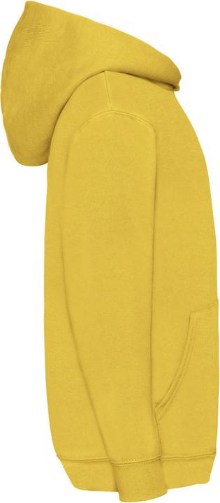 Actual product image Fruit of the Loom Jumper With Hood (140)