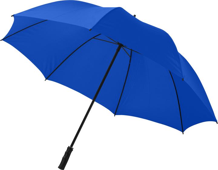 Bleu roi