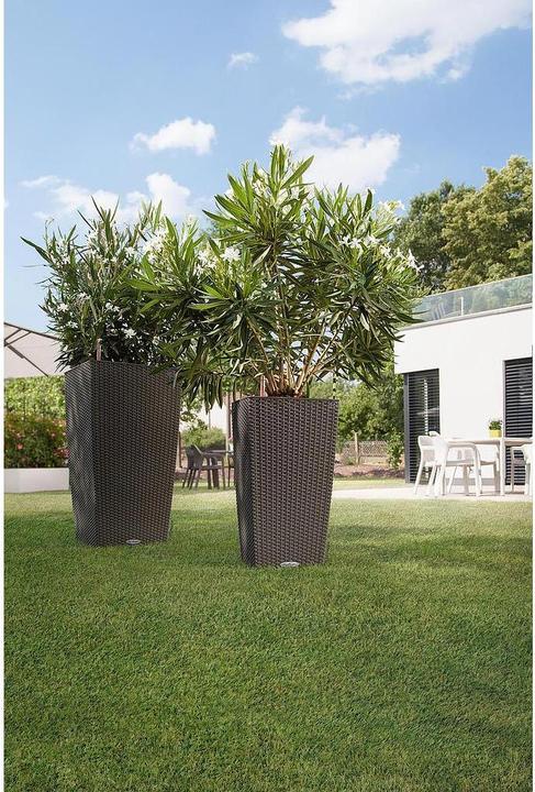 Actual product image Lechuza Cubico Cottage (29.50 cm)