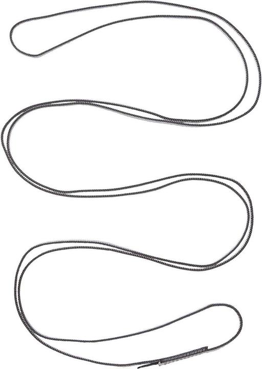 Actual product image Black Diamond Dynex Runner 10mm webbing sling
