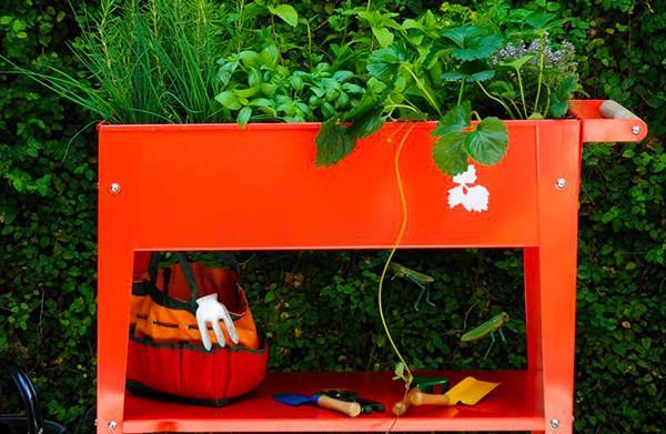 Actual product image Herstera Plant Trolley Raised Bed