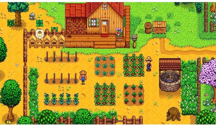 Image du produit Fangamer La vallée des étoiles (Switch, DE)