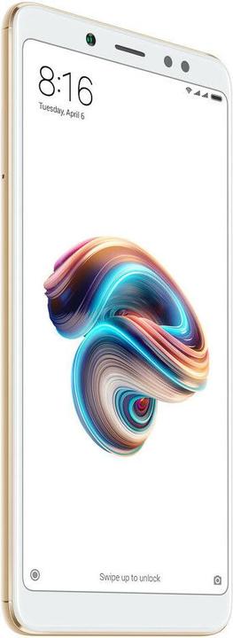 Xiaomi Redmi Note 5 (64 Go, Or, 6", Double SIM hybride, 12 Mpx, 4G)