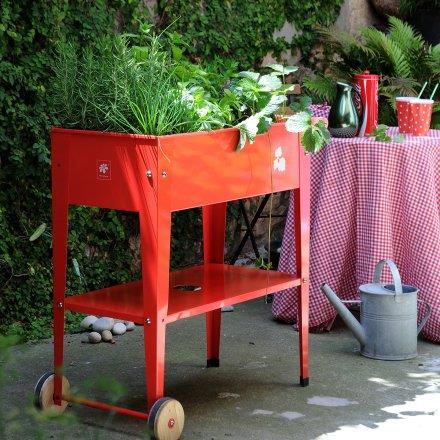 Produktbild Herstera Pflanztrolley Hochbeet