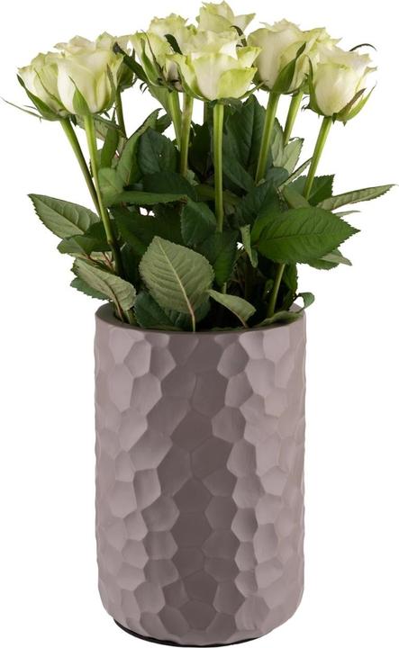 Actual product image APS Flaschenkühler "ELEMENT"