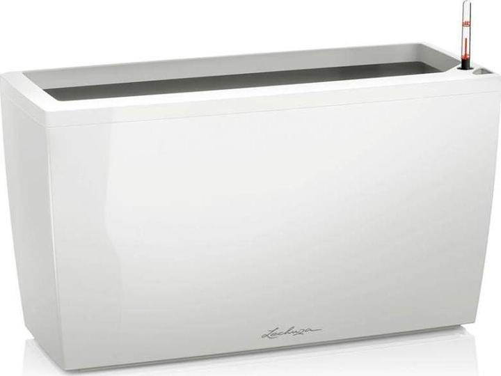 Actual product image Lechuza Ojo (21 cm)