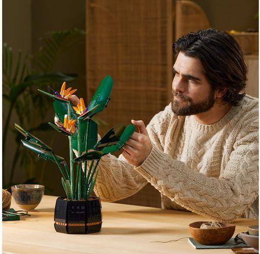 Image du produit LEGO Oiseau de Paradis (10289, LEGO difficiles à trouver)