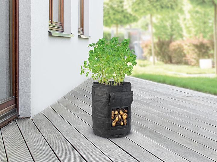 Image du produit Royal Gardineer Lot de 10 sacs de croissance pour plantes (20 cm, 20 cm)
