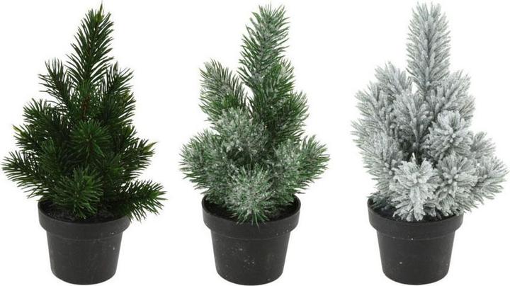 Productafbeelding Den in pot, 33cm (33 cm)