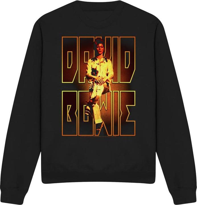 David Bowie Perched Sweatshirt