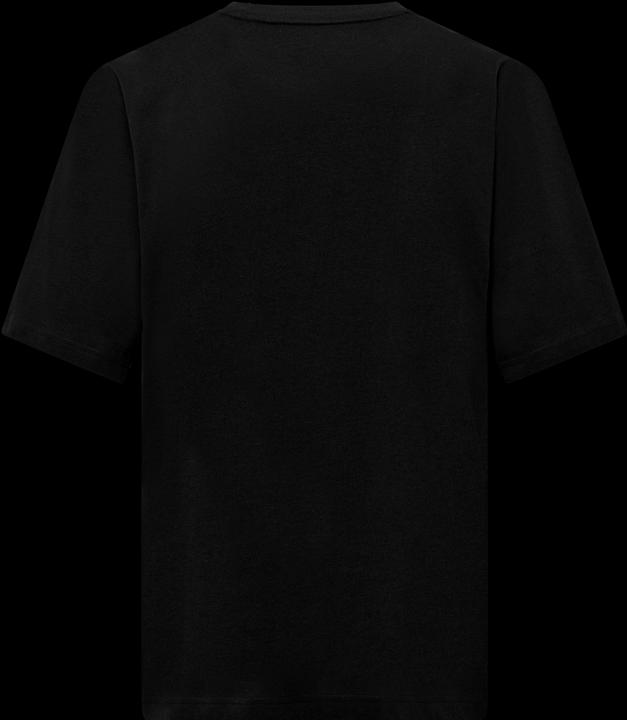 Actual product image Salewa Eagle Outside Loose T-Shirt M (L)