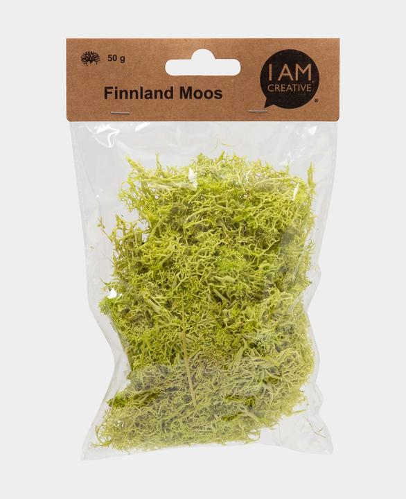 I Am Creative Finnland Moos, Trockenblumen (Trockenblumen)