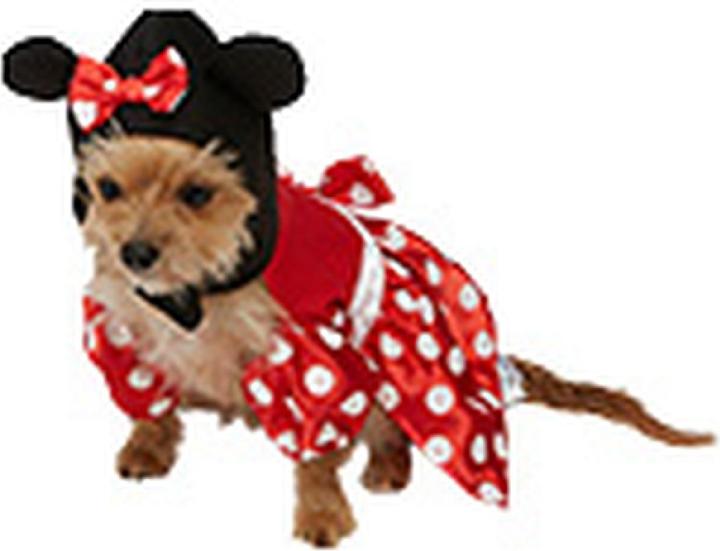 Produktbild Sambro Cc Minnie Mouse Hundekostüm T.S (S, Hundekostüm)