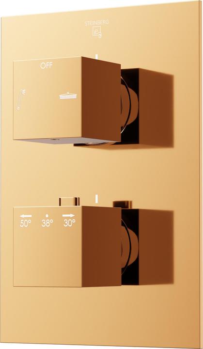 Actual product image Steinberg 160 series shower / bath faucet, ready-mounted set, concealed, two consumers, 16041333