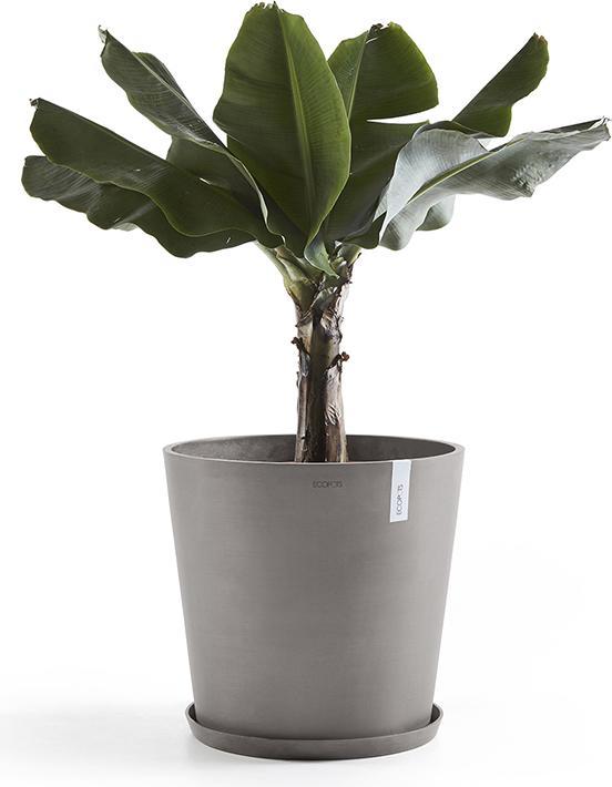 Produktbild Ecopots Saucer Round