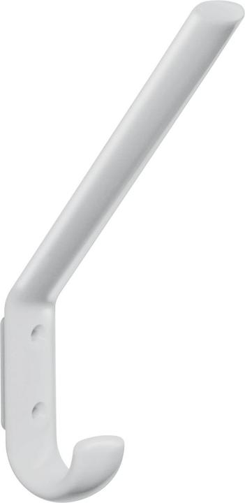 Actual product image Hewi Coat hook 477.90.070 single A.108mm PA 97 light grey H.163mm