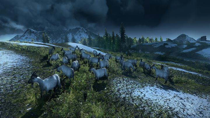 Produktbild The Witcher 3 : Wild Hunt