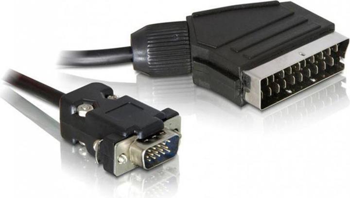 Delock Scart — VGA (2 m, Scart)