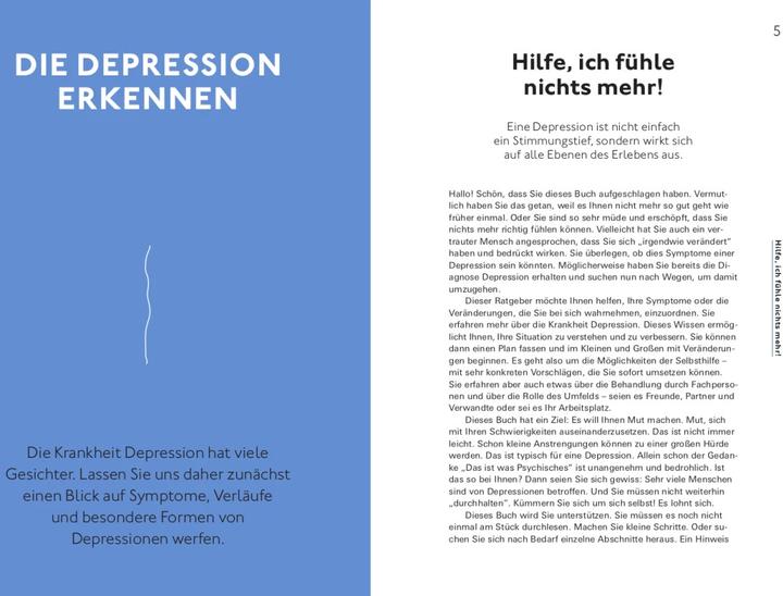 Produktbild Hilfe bei Depressionen (Deutsch, Alexander Bredereck, Mirjam Weinstein-Riechmann, Jana Christina Müller-Flechtenmacher, Dr. med. Jana Christina Müller-Flechtenmacher, 2023)