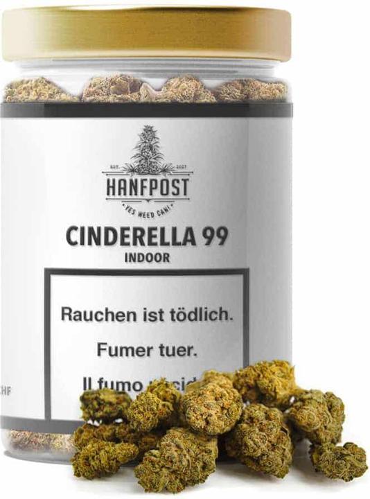 Produktbild Hanfpost Cinderella 99 Indoor (15 g, Indoor)