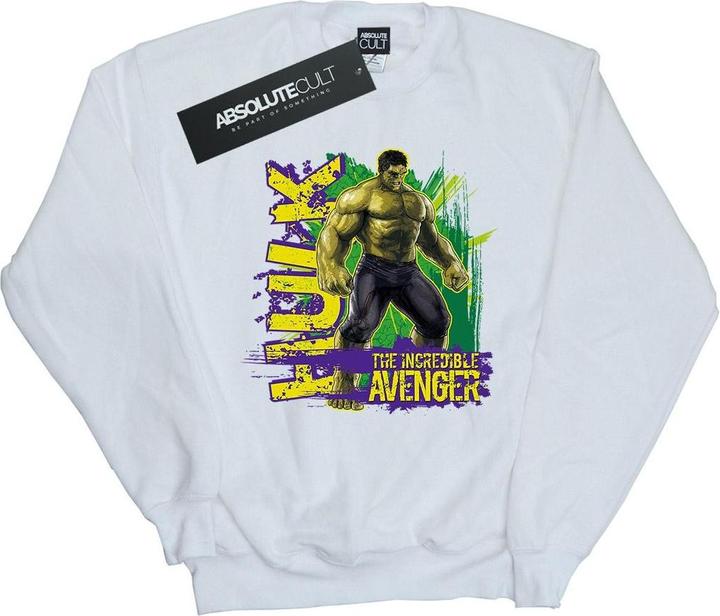Hulk Incredible Avenger Sweatshirt Jungen