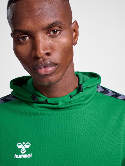 Actual product image hummel Hmlauthentic Pl Hoodie (L)