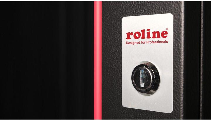 Actual product image Roline 19-inch wall-mounted housing Pro 12 U (12 RU, 19 inch rack)
