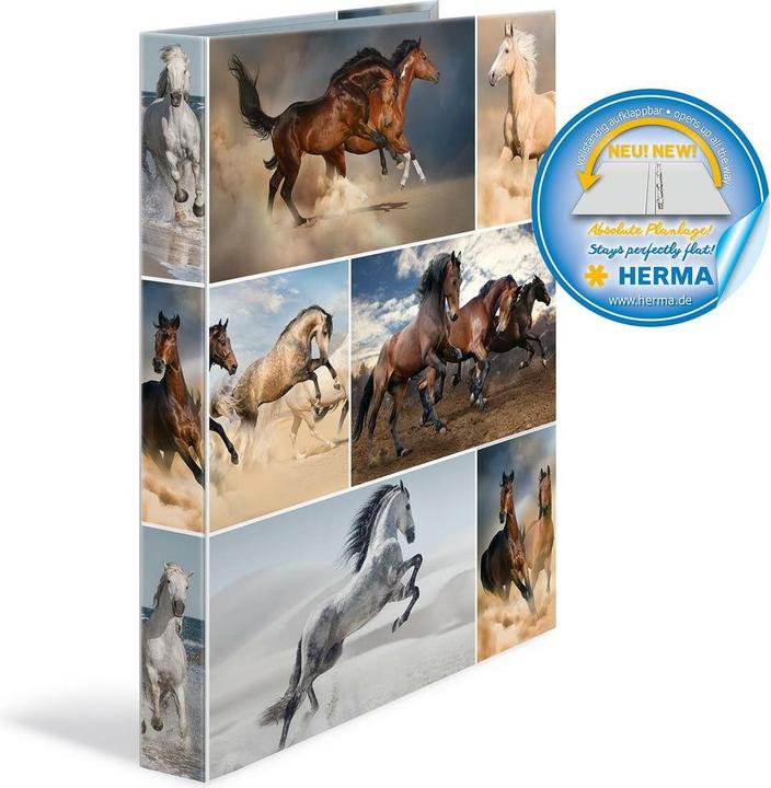 Actual product image HERMA A4 ring binder motif (A4, 35 mm, 1 Piece)