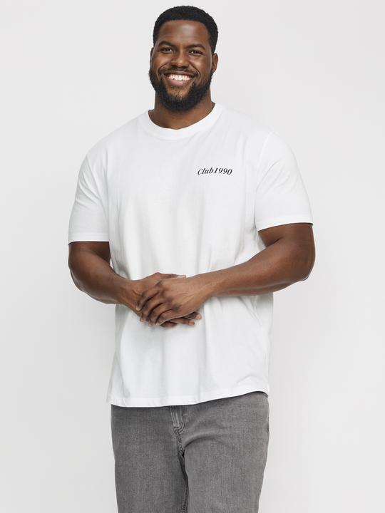 Image du produit Jack & Jones Jjebradley Graphic Tee Ss O-Neck Sn Pls (XXL)