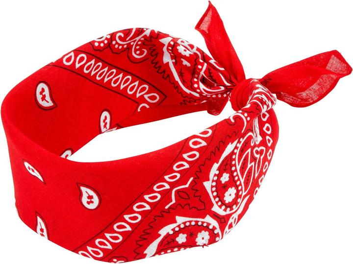 Widmann Bandana
