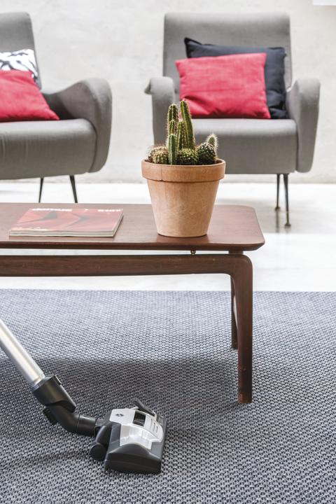 Productafbeelding Hoover HP730ALG 011