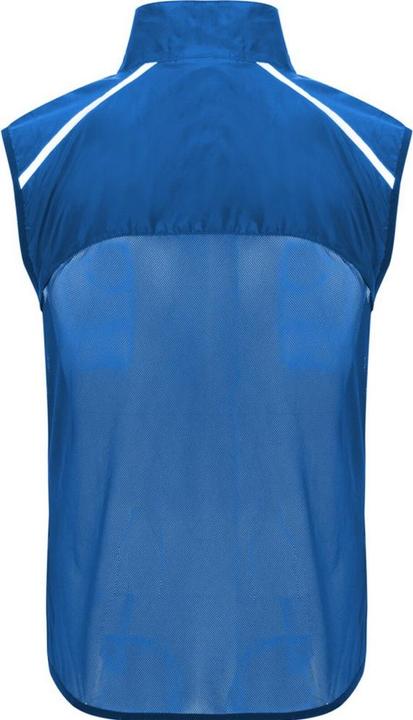 Actual product image Alpinia Unisex Adult Jannu Lightweight Running Body Warmer (M)