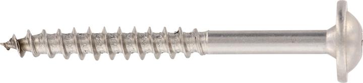 Fischer HBS WTP 8,0x100 A2 100 (100 Schrauben pro Stück)
