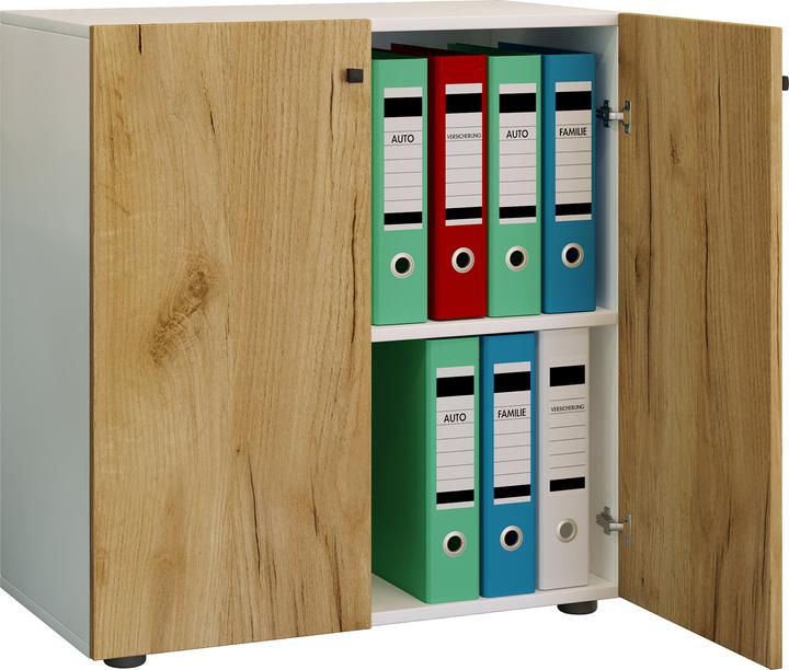 Immagine prodotto VCM Armadio per ufficio Armadio per archiviazione Lona 2 scomparti (70 x 39 x 74 cm)