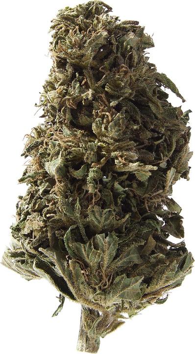 Actual product image Herba di Berna Orangello (45 g, Outdoor)