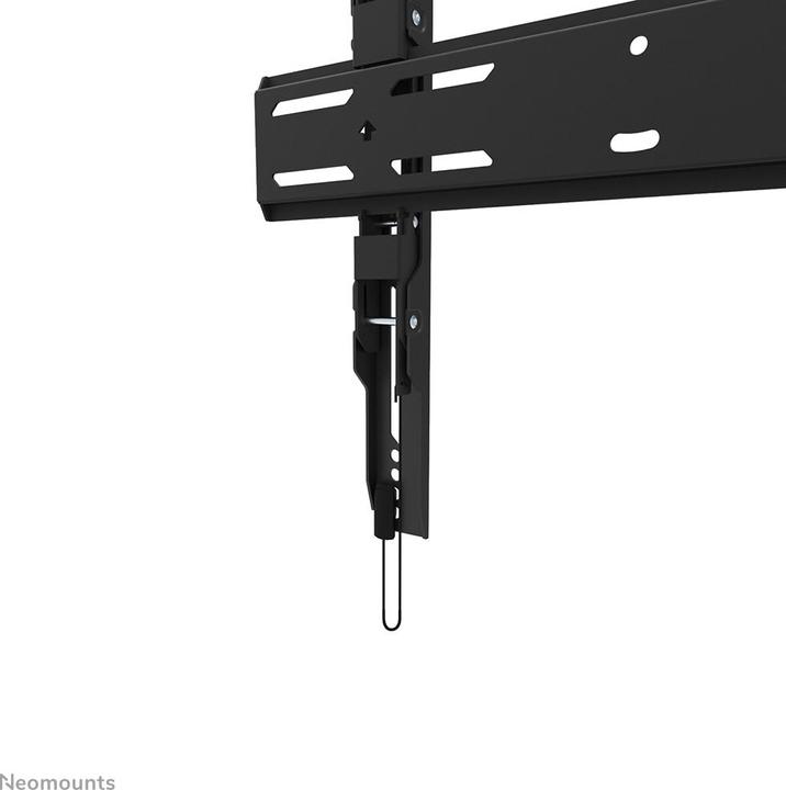 Produktbild Neomounts Wandhalterung WL30S-850BL14 Schwarz (Wand, 65", 50 kg)